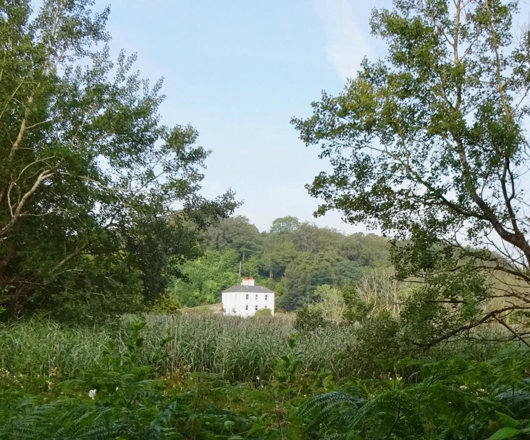 Riverbank House Bed And Breakfast Innishannon Экстерьер фото