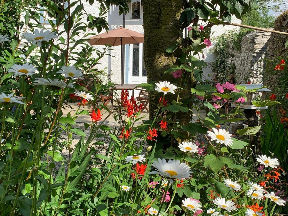 Riverbank House Bed And Breakfast Innishannon Экстерьер фото